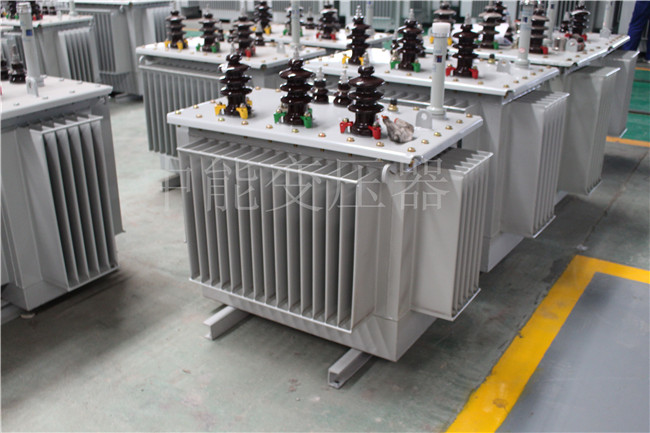 焦作S22-100KVA/10KV/0.4KV变压器